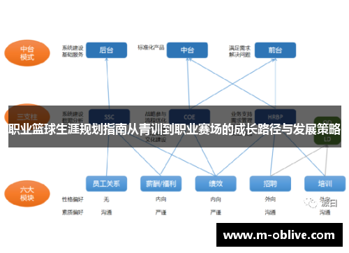 职业篮球生涯规划指南从青训到职业赛场的成长路径与发展策略