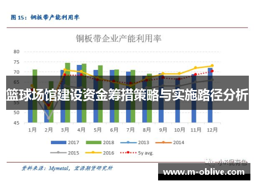篮球场馆建设资金筹措策略与实施路径分析