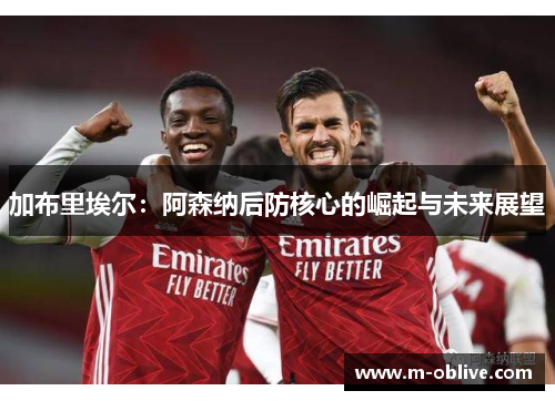 加布里埃尔：阿森纳后防核心的崛起与未来展望