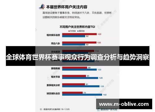 全球体育世界杯赛事观众行为调查分析与趋势洞察