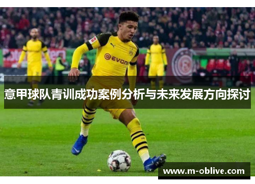 意甲球队青训成功案例分析与未来发展方向探讨