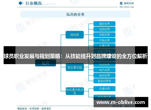 球员职业发展与规划策略：从技能提升到品牌建设的全方位解析