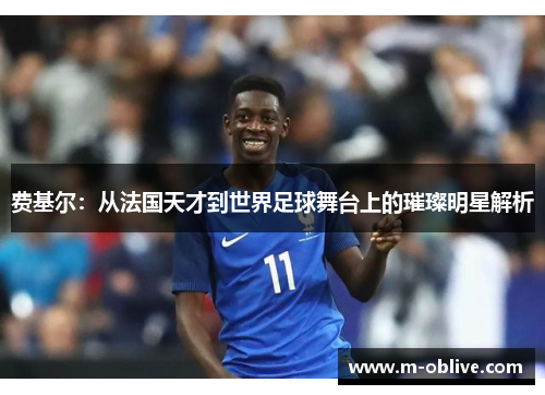 费基尔：从法国天才到世界足球舞台上的璀璨明星解析
