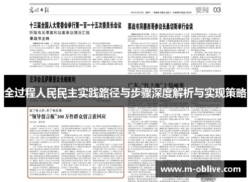 全过程人民民主实践路径与步骤深度解析与实现策略