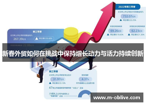 新春外贸如何在挑战中保持增长动力与活力持续创新