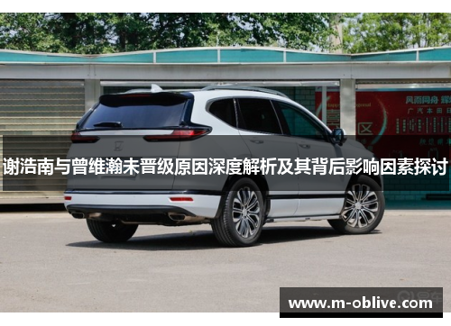 谢浩南与曾维瀚未晋级原因深度解析及其背后影响因素探讨