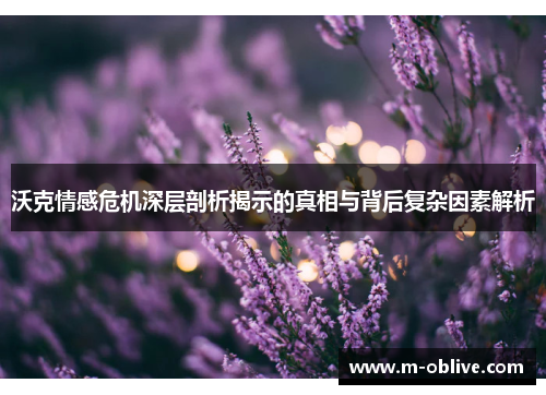 沃克情感危机深层剖析揭示的真相与背后复杂因素解析
