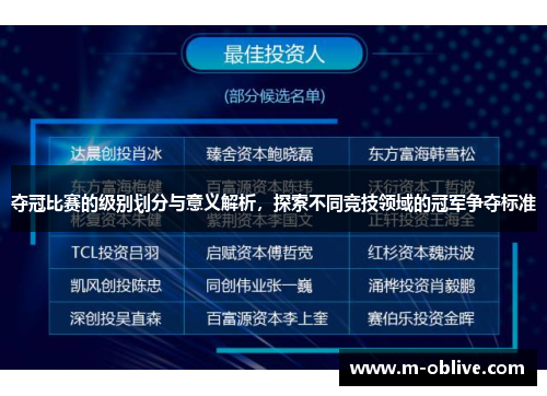 夺冠比赛的级别划分与意义解析，探索不同竞技领域的冠军争夺标准