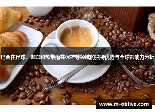 巴西在足球、咖啡和热带雨林保护等领域的独特优势与全球影响力分析